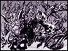 Nibi (2 tail) - Nibi este o pisica cu doua cozi cu puteri care - Naruto Demons