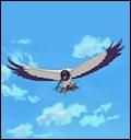 gennou's giant bird - this giant bird is summoning of the hidden heat haze village ninja gennou.