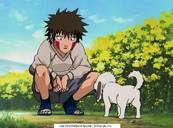 Poze Kiba - shi asta e tzuper ^_^ - Kiba Inuzuka