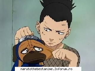 :wink2: poze shikamaru