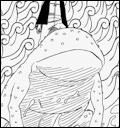 hanzou's salamander - this is the personal summon of the mizukage and is supposedly made of water.