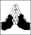 Seals - These are the 12 main hand seals used by ninjas - Hand seal jutsus
